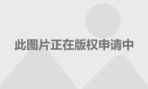  德甲国家德比收视率破百万大关创新高